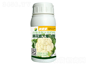 120g�˻�������׼�-������-�λ�����