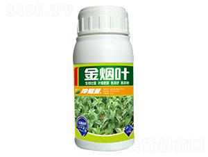 120g����Ҷ-������-�λ�����