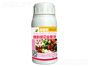 120g�ڷ۱���������-������-�λ�����