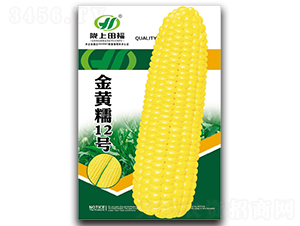 ���Ŵ12��-��������-�︣ũҵ