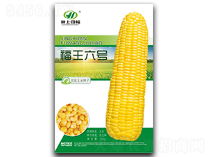 ����6��-��������-�︣ũҵ