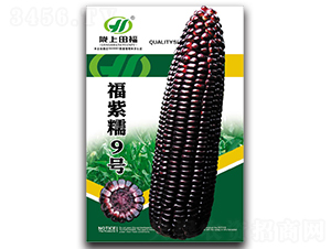 ����Ŵ9��-��������-�︣ũҵ