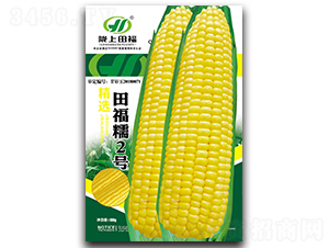 �︣Ŵ2��-��������-�︣ũҵ