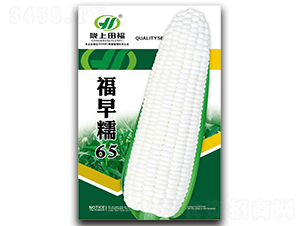 ����Ŵ65-��������-�︣ũҵ