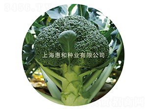 ǿ��809-����������-�ݺ���ҵ