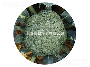 ǿ��808-����������-�ݺ���ҵ
