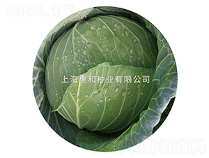 ����605-��������-�ݺ���ҵ