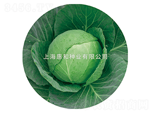�䱦-��������-�ݺ���ҵ