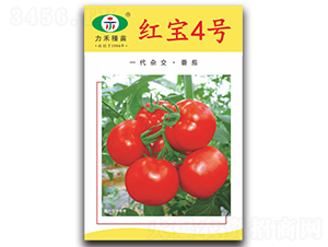 �챦4��-��������-����ũҵ