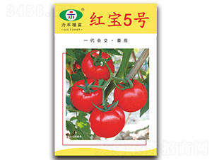 �챦5��-��������-����ũҵ