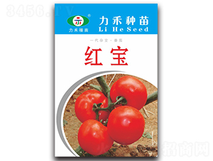 �챦-��������-����ũҵ