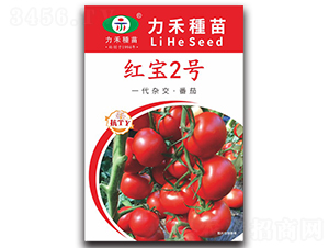 �챦2��-��������-����ũҵ
