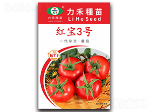�챦3��-��������-����ũҵ