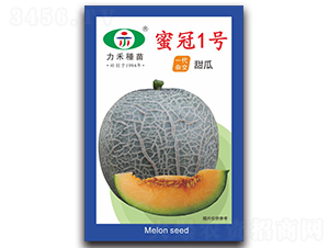 �۹�1��-�������-����ũҵ