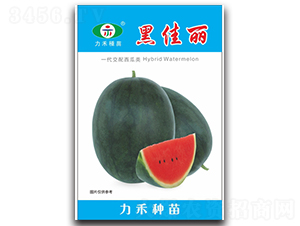 �ڼ���-��������-����ũҵ