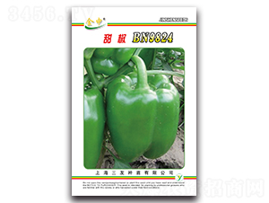 ��BN9824-��������-����