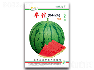 ���84-24-��������-����
