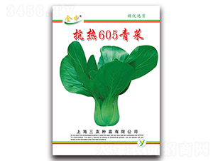 ����605���-�������-����