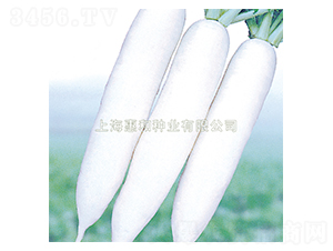����ʹ-�ܲ�����-�ݺ���ҵ