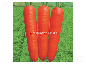 �춼107-���ܲ�����-�ݺ���ҵ