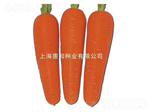 �춼238-���ܲ�����-�ݺ���ҵ