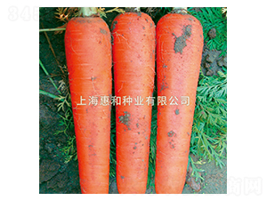 �춼601-���ܲ�����-�ݺ���ҵ