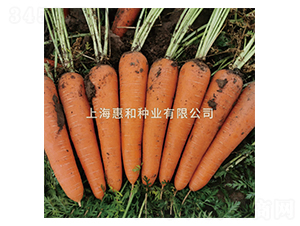 ������907-���ܲ�����-�ݺ���ҵ