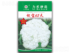 �ɱ�65��-��������-����ũҵ