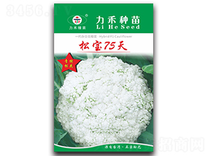�ɱ�75��-��������-����ũҵ