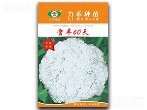 ѩ��60��-��������-����ũҵ