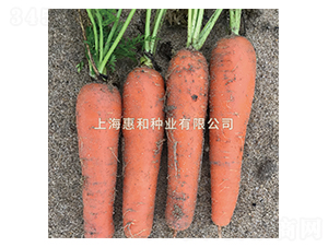 ��ʥ���-���ܲ�����-�ݺ���ҵ