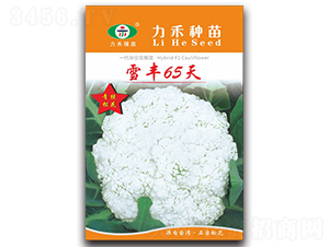 ѩ��65��-��������-����ũҵ