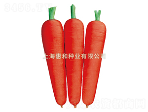 ����˹һ��-���ܲ�����-�ݺ���ҵ