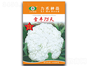 ѩ��75��-��������-����ũҵ