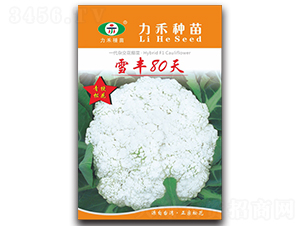 ѩ��80��-��������-����ũҵ