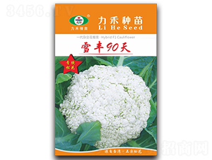 ѩ��90��-��������-����ũҵ