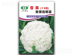 ѩ��70��-��������-����ũҵ