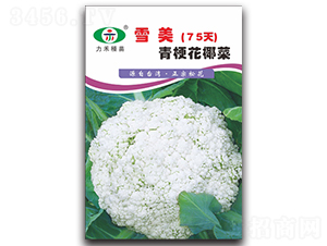 ѩ��75��-��������-����ũҵ