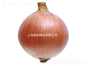 �ۻƶ���-�������-�ݺ���ҵ
