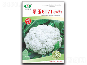 ����6171��65�죩-��������-����ũҵ