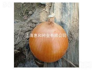 ��˧-�������-�ݺ���ҵ