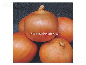 ��ʤ104-�������-�ݺ���ҵ