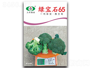 �̱�ʯ65-����������-����ũҵ