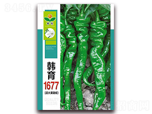 ����1677-��������-������ҵ