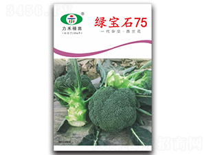 �̱�ʯ75-����������-����ũҵ