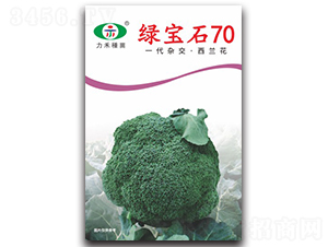 �̱�ʯ70-����������-����ũҵ