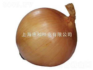 ��ʤ804-�������-�ݺ���ҵ