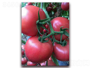 HL628-��������-������ҵ