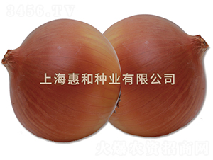 �Ʒ�84-�������-�ݺ���ҵ