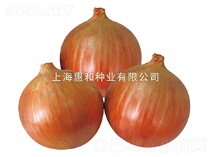 �Ʒ�81-�������-�ݺ���ҵ